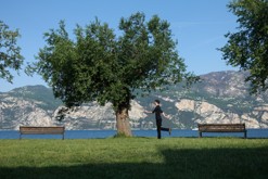 Malcesine, Lago di Garda