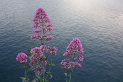 Torbole, Lago di Garda