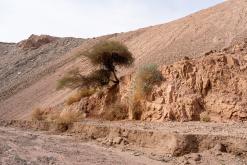 Akaba - Týden po Jordánsku (prosinec 2025)