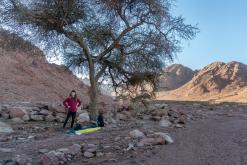 Vádí Rum - Týden po Jordánsku (prosinec 2025)