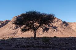 Vádí Rum - Týden po Jordánsku (prosinec 2025)