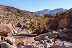 Vádí Rum - Týden po Jordánsku (prosinec 2025)