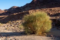 Vádí Rum - Týden po Jordánsku (prosinec 2025)