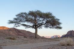 Vádí Rum - Týden po Jordánsku (prosinec 2025)