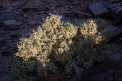 Vádí Rum - Týden po Jordánsku (prosinec 2025)