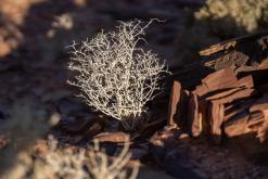 Vádí Rum - Týden po Jordánsku (prosinec 2025)