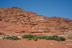 Vádí Rum - Týden po Jordánsku (prosinec 2025)