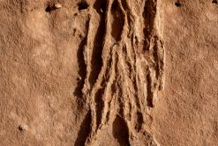 Vádí Rum - Týden po Jordánsku (prosinec 2025)