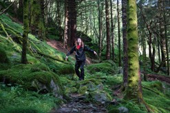 mechové lesy / Svartediket, Bergen