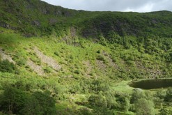 údolí / Borgaskaret, Bergen