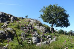 Bildøy, obec Fjell, Bergen
