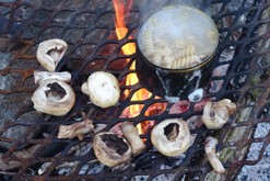 kempování / Bildøy, obec Fjell, Bergen