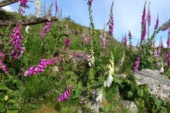 Bildøy, obec Fjell, Bergen