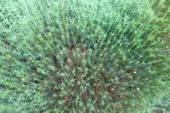 napříč ostrovem Sotra, Bergen