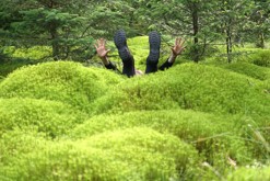 Hupky do mechu / Sotra, Bergen // Jumping into moss
