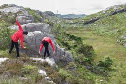 Ptačí pochod / Sotra, Bergen // Birds walking