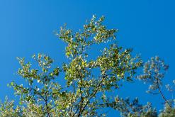 Ruokolahti - Prodloužený víkend po Finsku (srpen 2025)