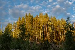 Ruokolahti - Prodloužený víkend po Finsku (srpen 2025)