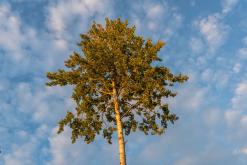 Ruokolahti - Prodloužený víkend po Finsku (srpen 2025)