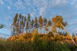 Ruokolahti - Prodloužený víkend po Finsku (srpen 2025)