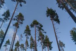 Ruokolahti - Prodloužený víkend po Finsku (srpen 2025)