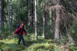 Pohja-Lankila - Prodloužený víkend po Finsku (srpen 2025)