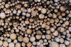 Pohja-Lankila - Prodloužený víkend po Finsku (srpen 2025)