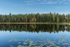 Pohja-Lankila - Prodloužený víkend po Finsku (srpen 2025)