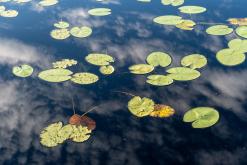 Pohja-Lankila - Prodloužený víkend po Finsku (srpen 2025)