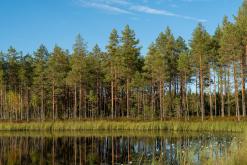 Pohja-Lankila - Prodloužený víkend po Finsku (srpen 2025)