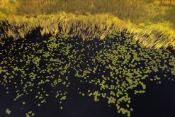 Pohja-Lankila - Prodloužený víkend po Finsku (srpen 2025)