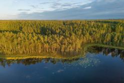 Pohja-Lankila - Prodloužený víkend po Finsku (srpen 2025)