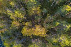 Pohja-Lankila - Prodloužený víkend po Finsku (srpen 2025)