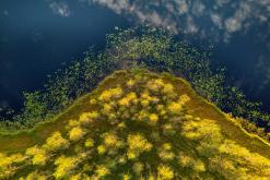 Pohja-Lankila - Prodloužený víkend po Finsku (srpen 2025)