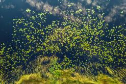 Pohja-Lankila - Prodloužený víkend po Finsku (srpen 2025)