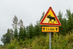 Pohja-Lankila - Prodloužený víkend po Finsku (srpen 2025)