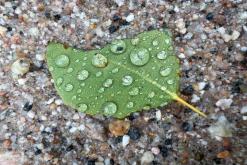 Pohja-Lankila - Prodloužený víkend po Finsku (srpen 2025)