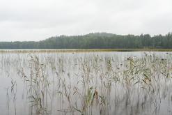 Simpele - Prodloužený víkend po Finsku (srpen 2025)